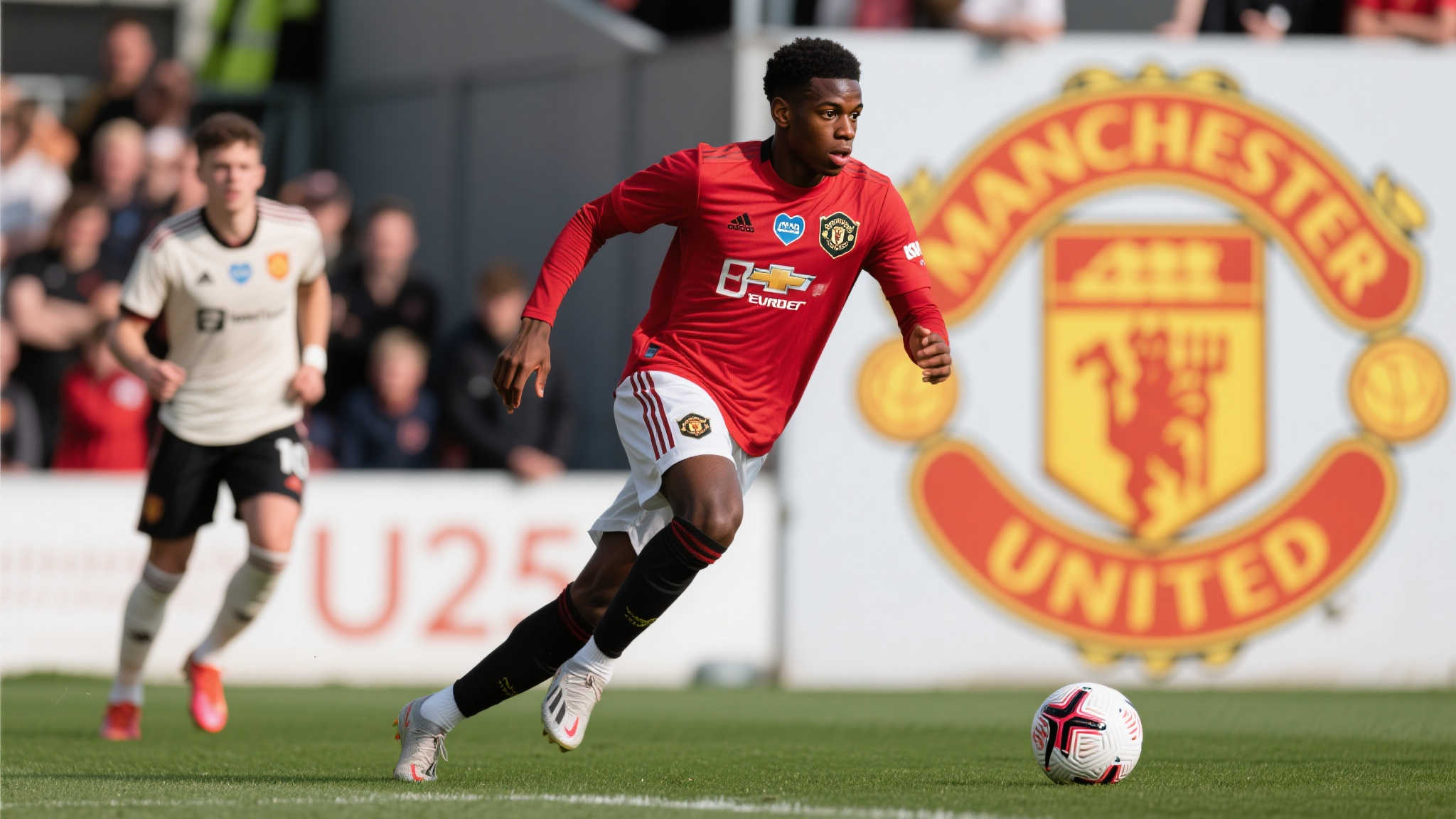 超凡的驾驭 超凡的驾驭